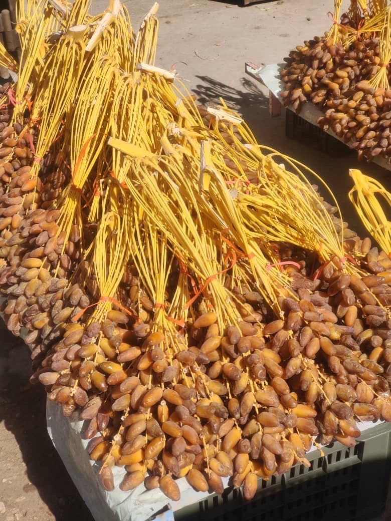 Deglet Nour Dates - Sebla