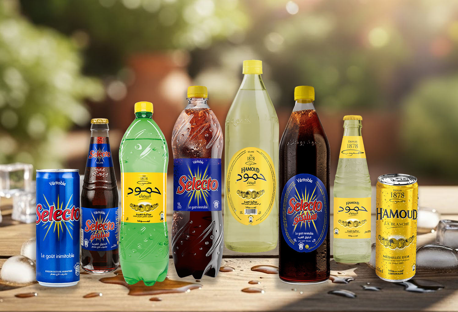 Beverages & Energy Drinks